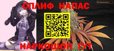 амф Гатчина