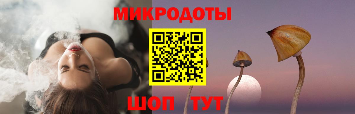 Назрань  Псилоцибиновые грибы Psilocybine cubensis  Вход с VPN 