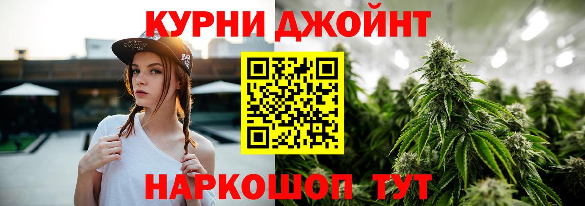 Конопля семена  Каннабис конопля  Вход с VPN  Назрань 